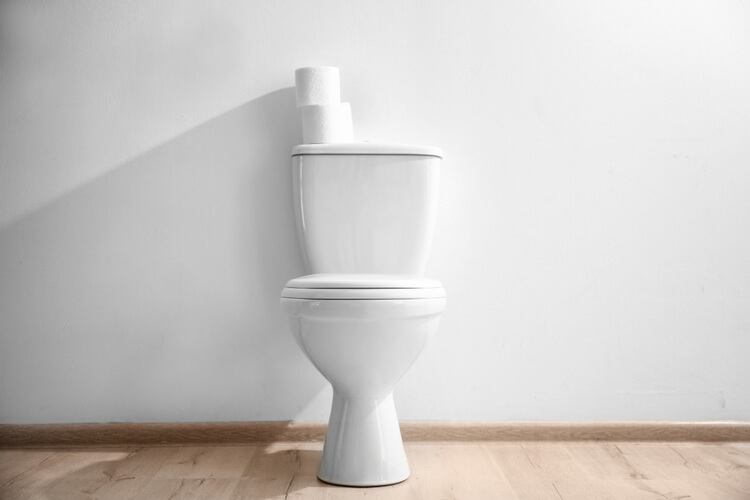 トイレインテリアを賃貸でも楽しみたい おしゃれなアイデアまとめ