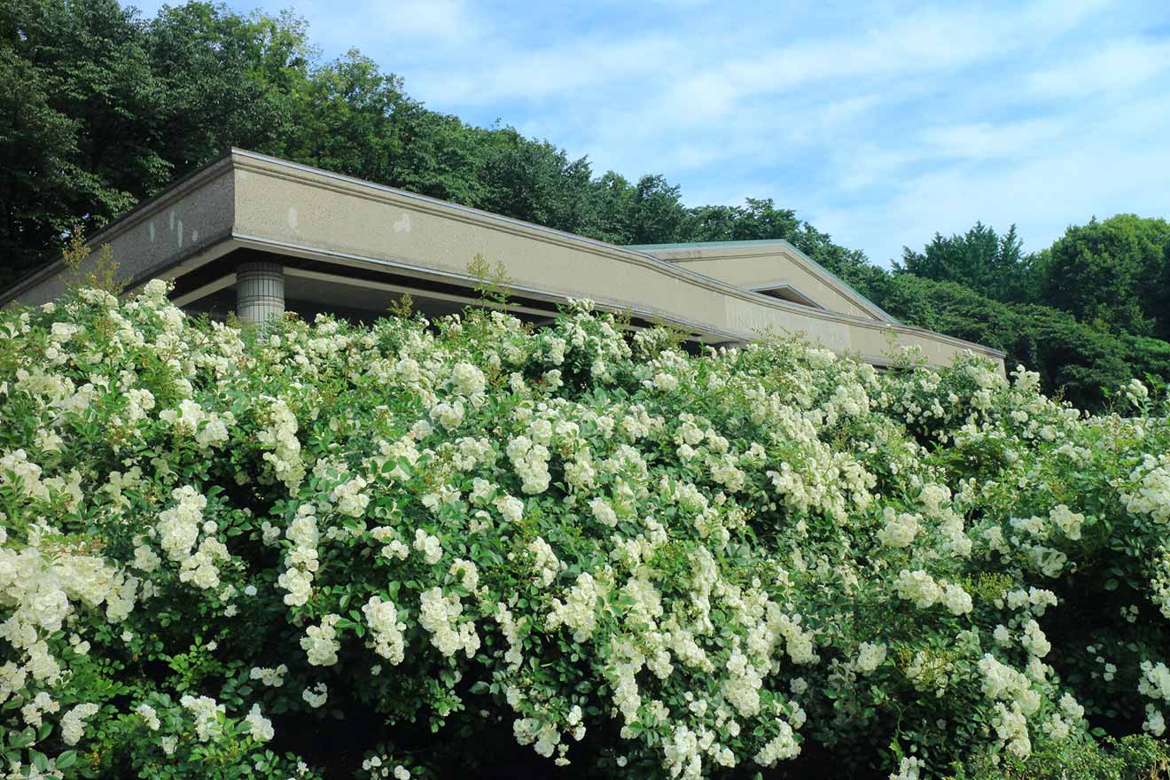 神代植物公園