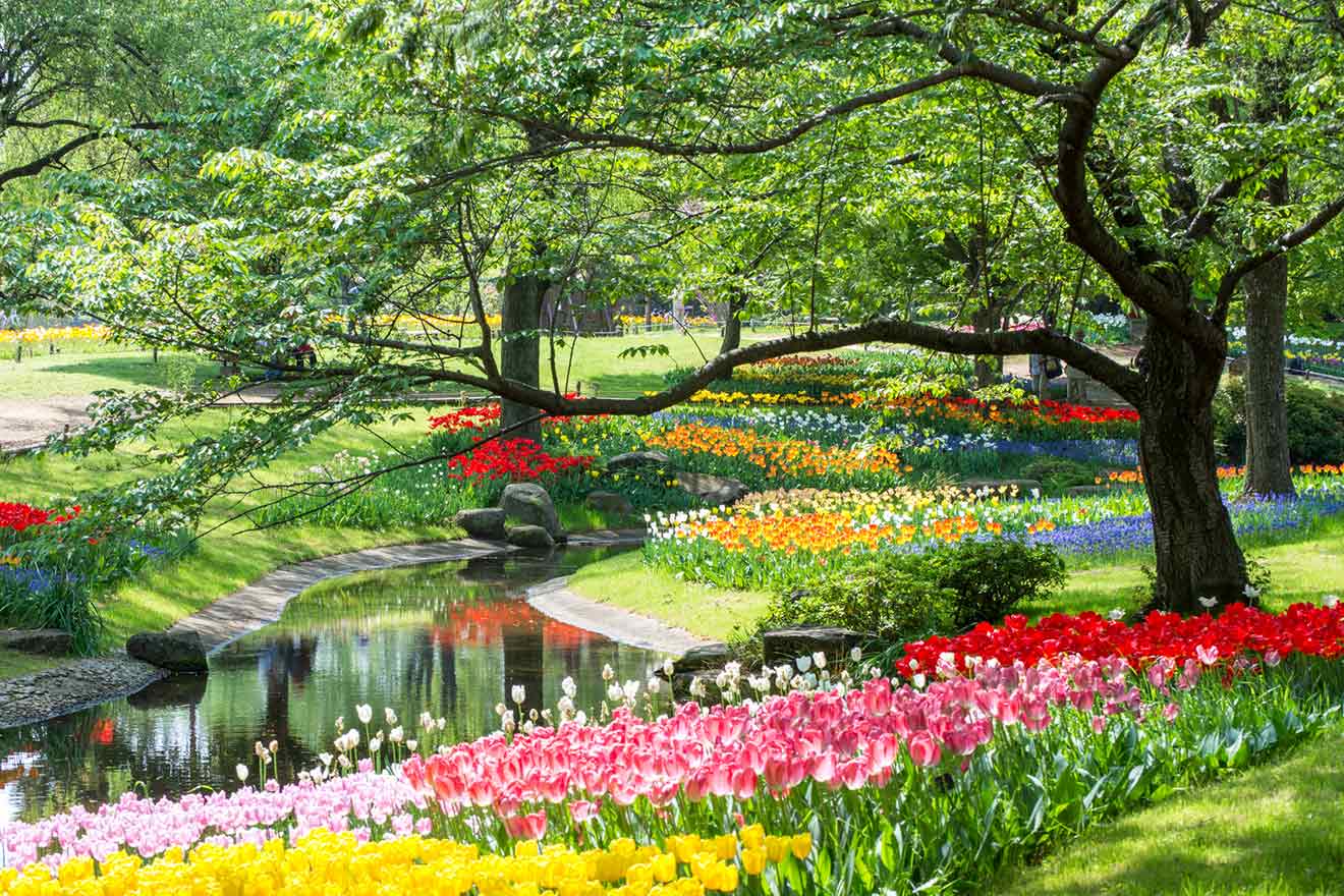 昭和記念公園