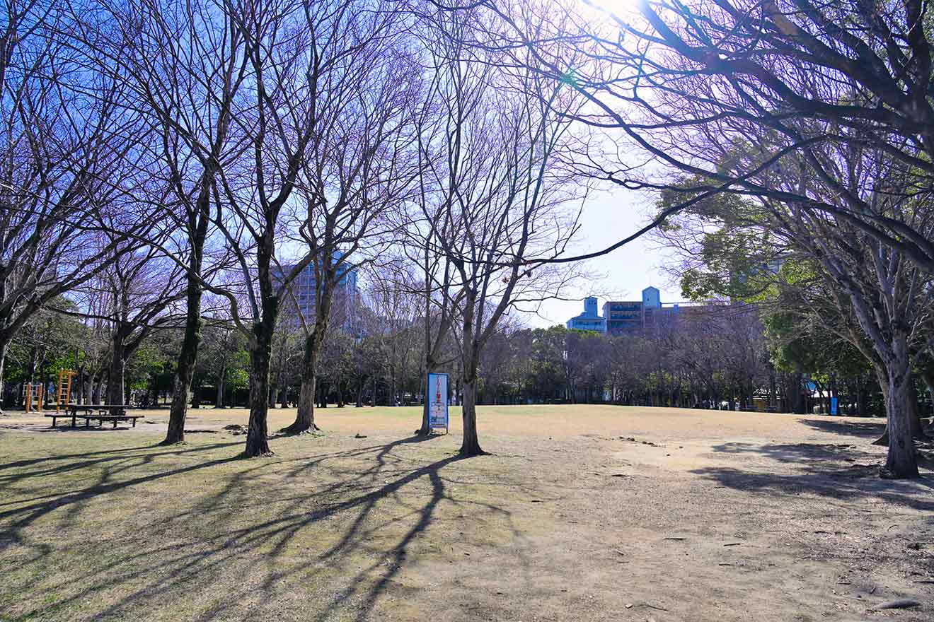 東公園