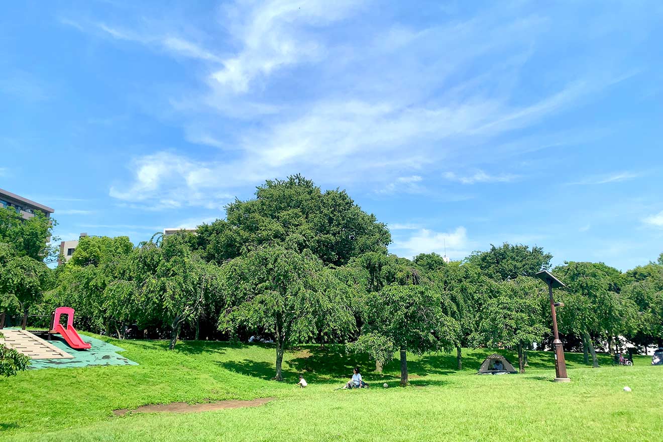尾久の原公園