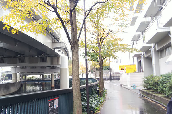 今年は雨が多いですね