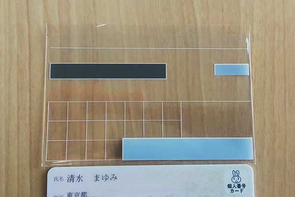 目隠し付きのカバーでした！