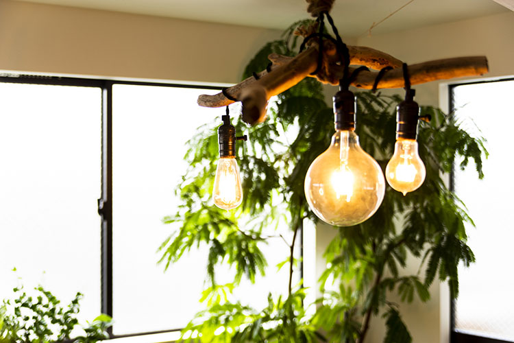 流木を使った照明