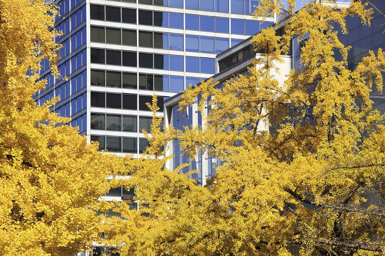 御堂筋界隈は関西屈指のビジネス街