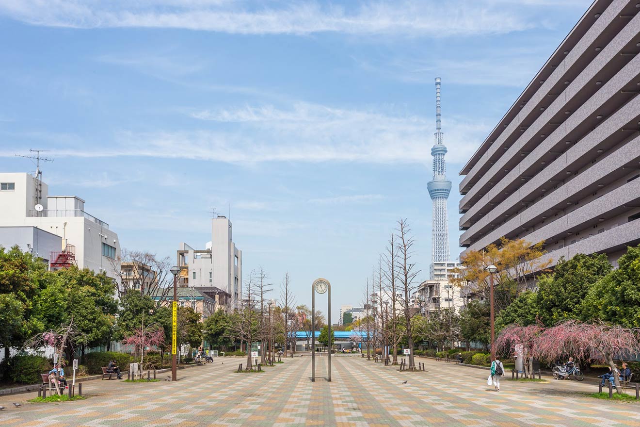 周辺住民の憩いの場。スカイツリーも徒歩圏内です