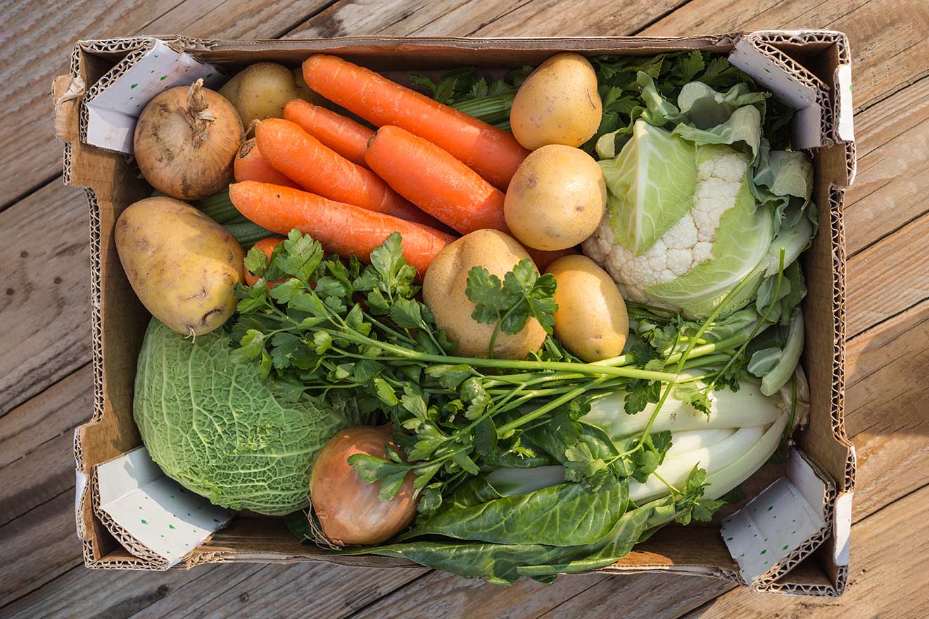 「ふるさと納税」を行うと、寄付をした自治体から返礼品を受け取ることができます