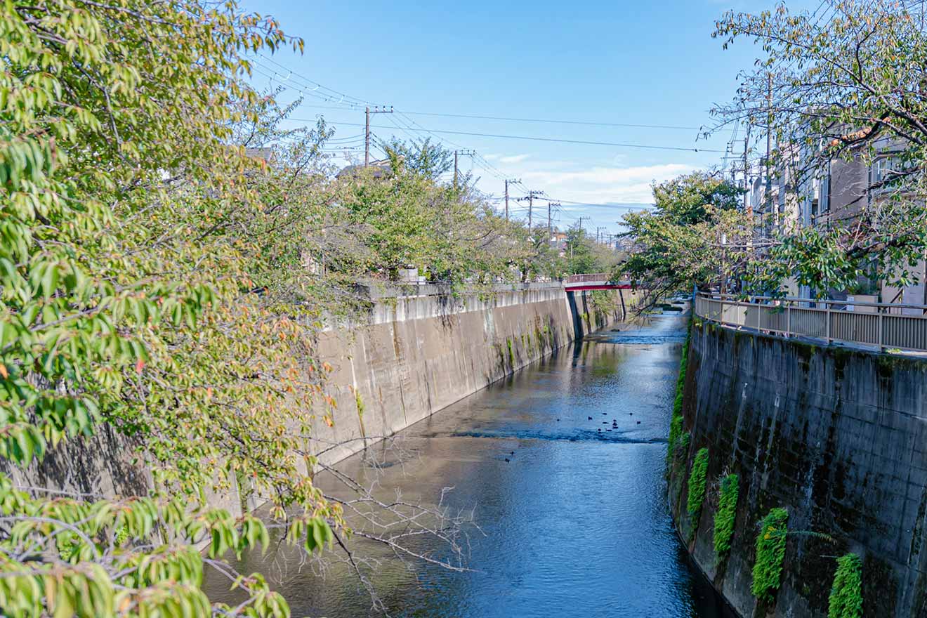 石神井川