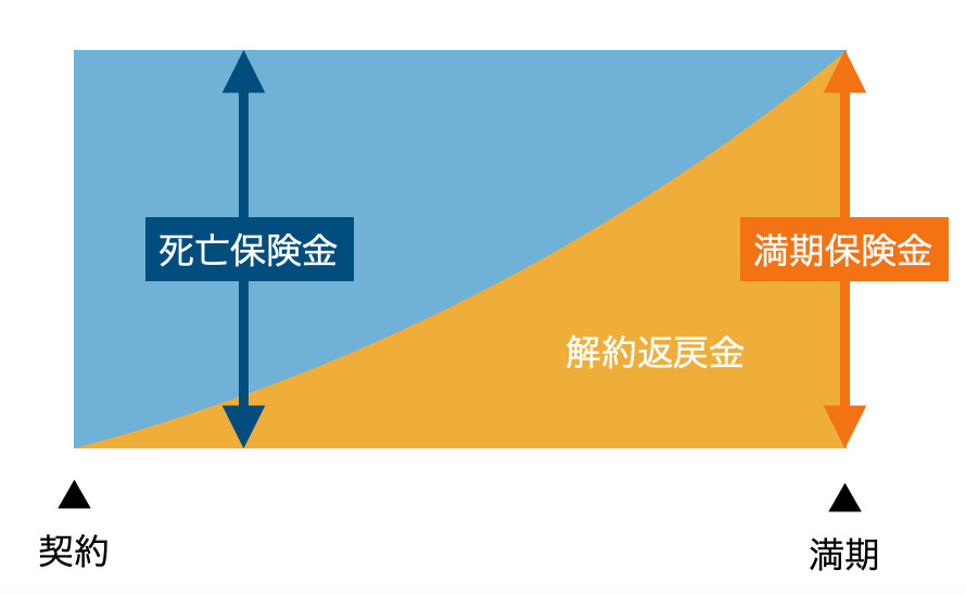 生命保険のひとつ、養老保険のイメージ