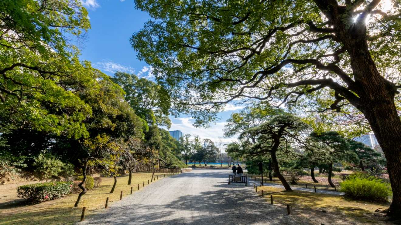 浜離宮恩賜庭園2