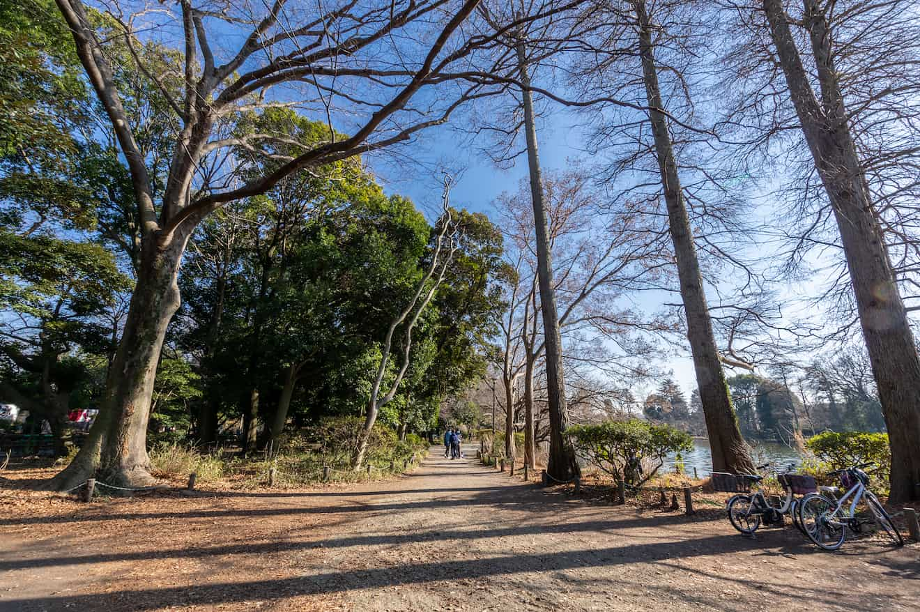 東京都立善福寺公園（上石神井駅より徒歩約17分）