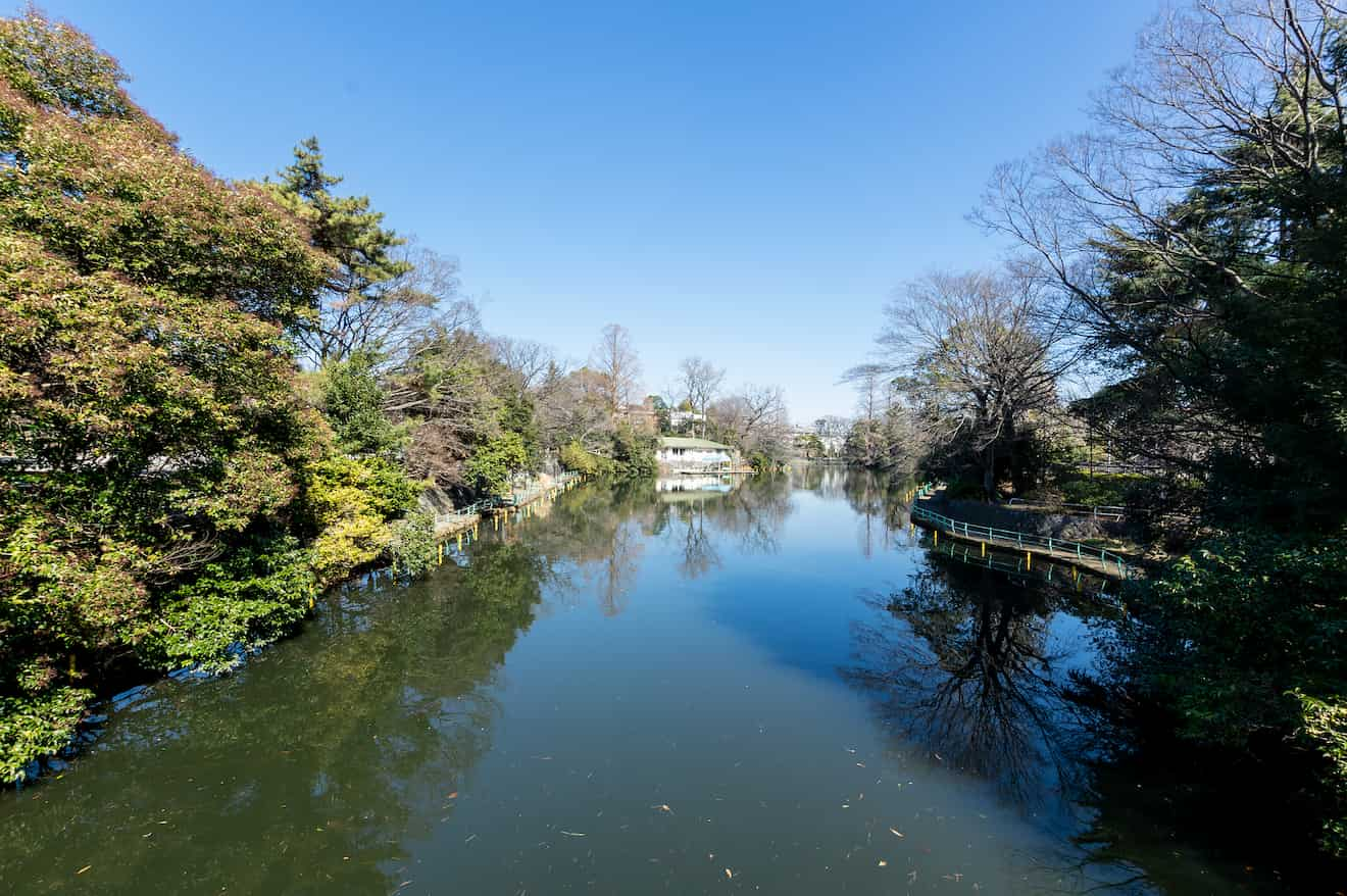 武蔵関公園（武蔵関駅南口より徒歩約8分）