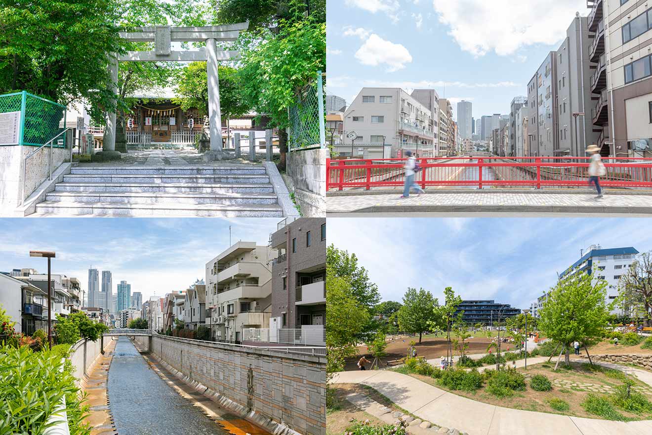 左上から時計回りに、本郷氷川神社（中野新橋駅より徒歩約4分）、中野新橋駅周辺の街並み