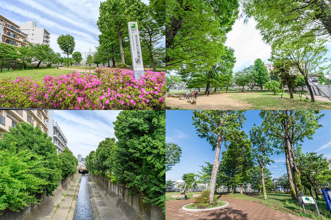 左上から時計回りの3枚、本五ふれあい公園（中野富士見町駅より徒歩約4分）、左下は中野富士見町駅周辺の街並み