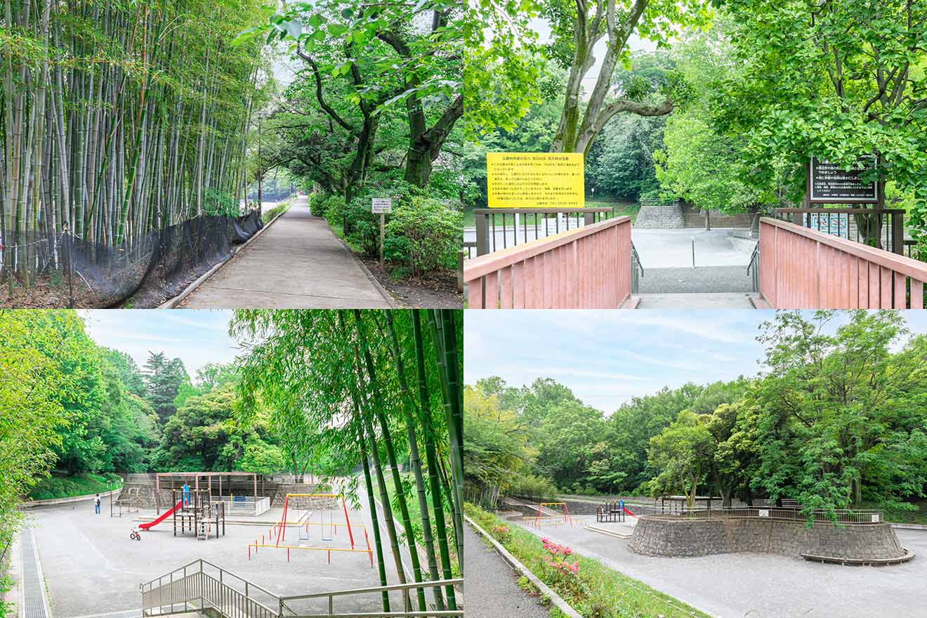 中野区立江古田の森公園