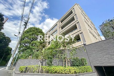 六本木プラシッド