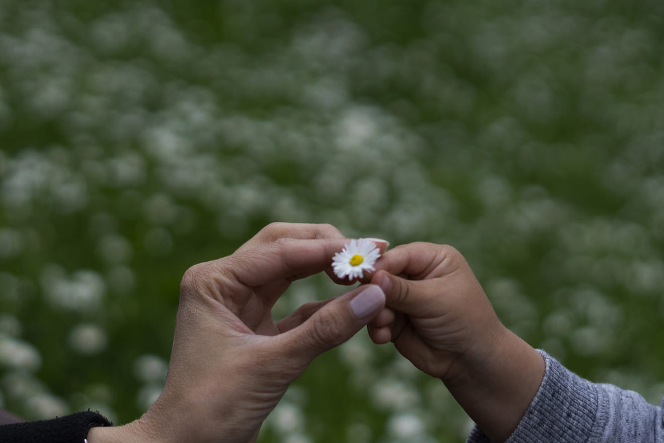 被相続人とは誰のこと？