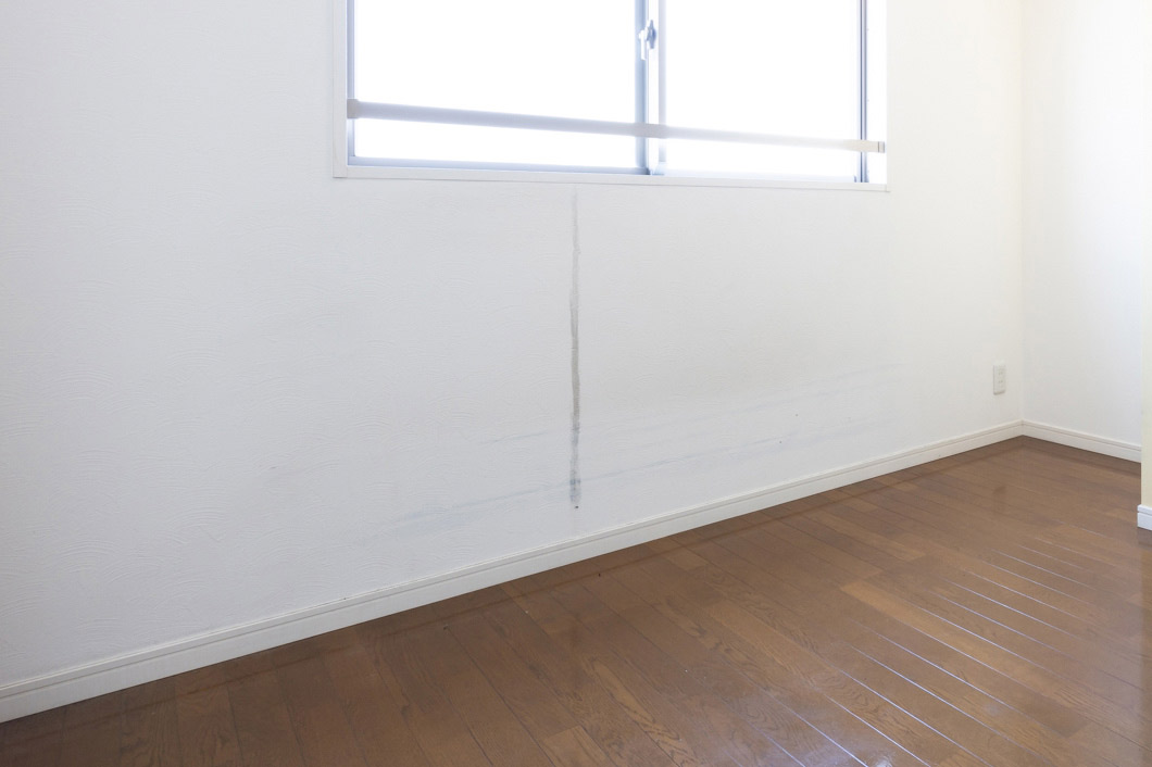 近づいてみると縦に黒い筋が入っています