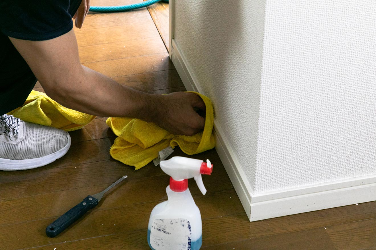 ドライバーのような細い道具（巾木の凹みを掃除中）